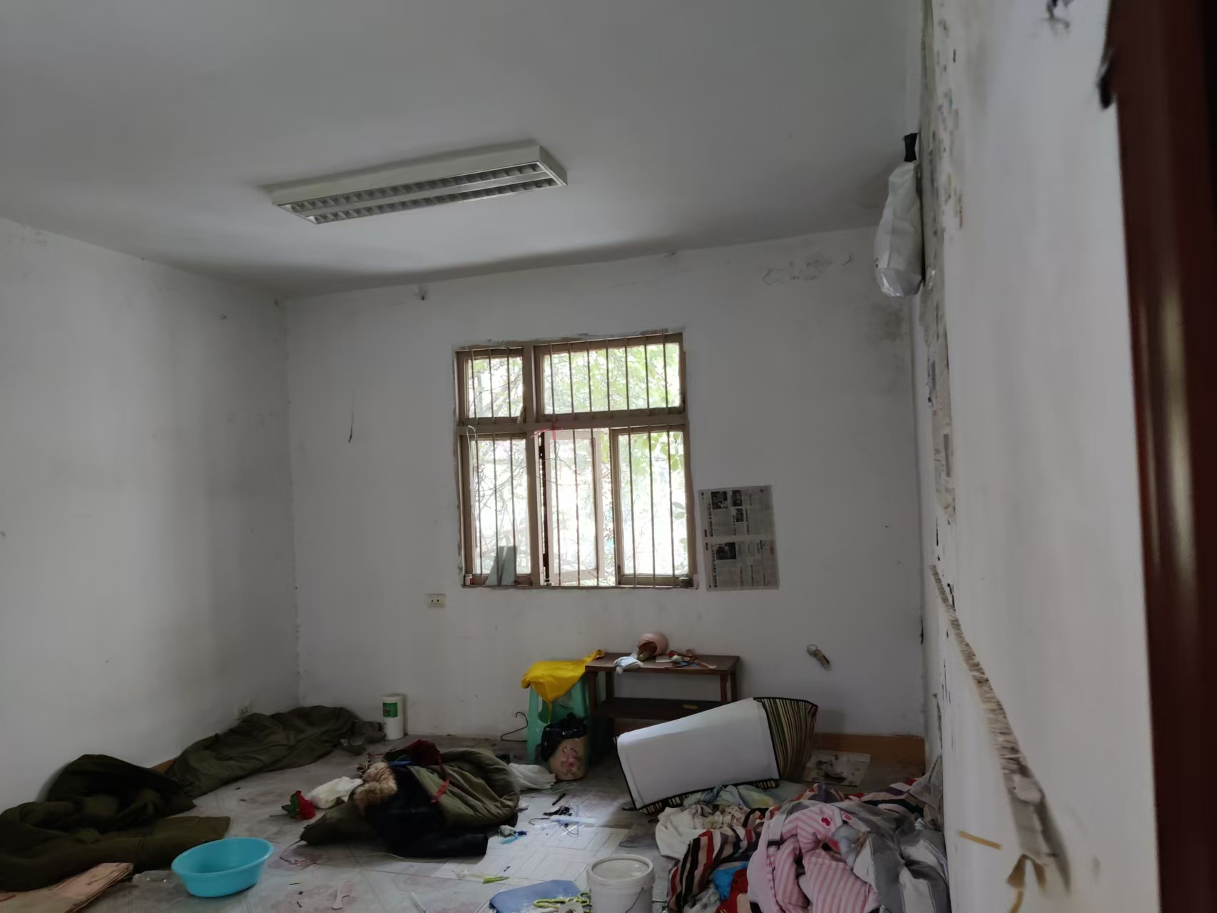 1764236472358035.jpg b5c2b0401eca90aa12cdf0744880b3f.jpg