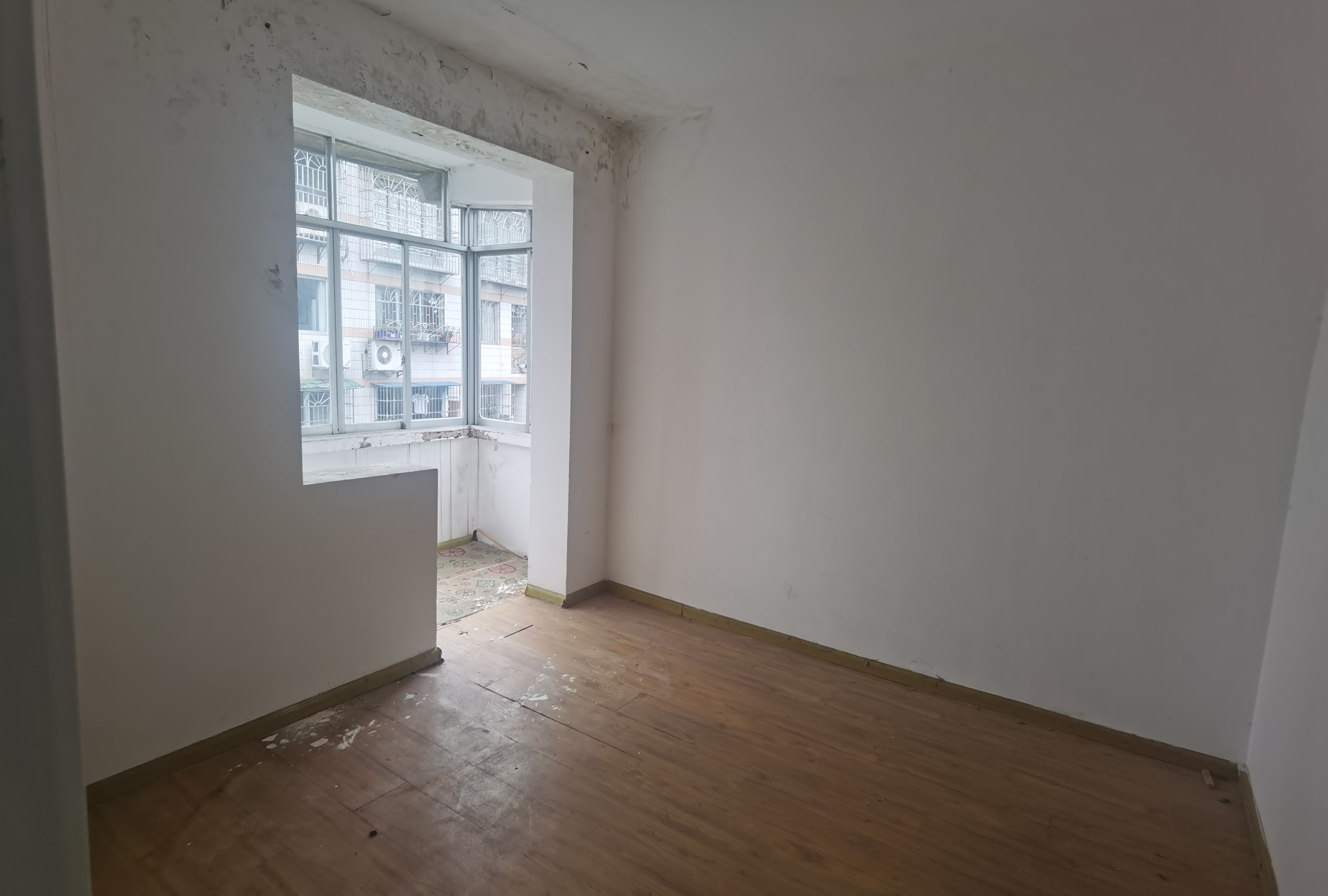 1764842248763318.jpg IMG_20250724_150942.jpg