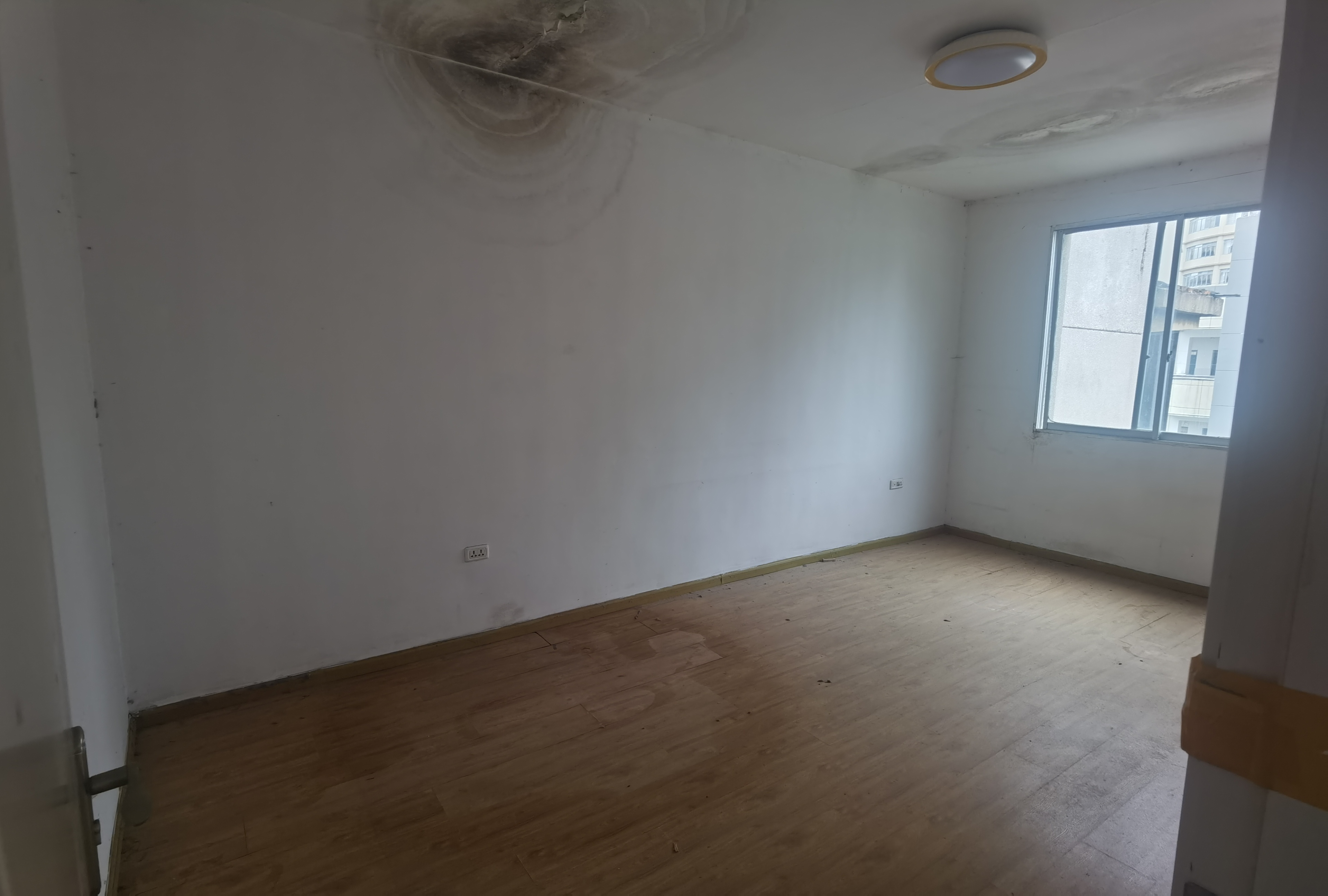 1764842253220640.jpg IMG_20250724_150948.jpg