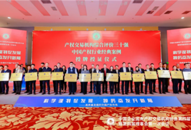 貴州陽光產(chǎn)權(quán)交易所當(dāng)選中國產(chǎn)權(quán)協(xié)會(huì)常務(wù)理事單位